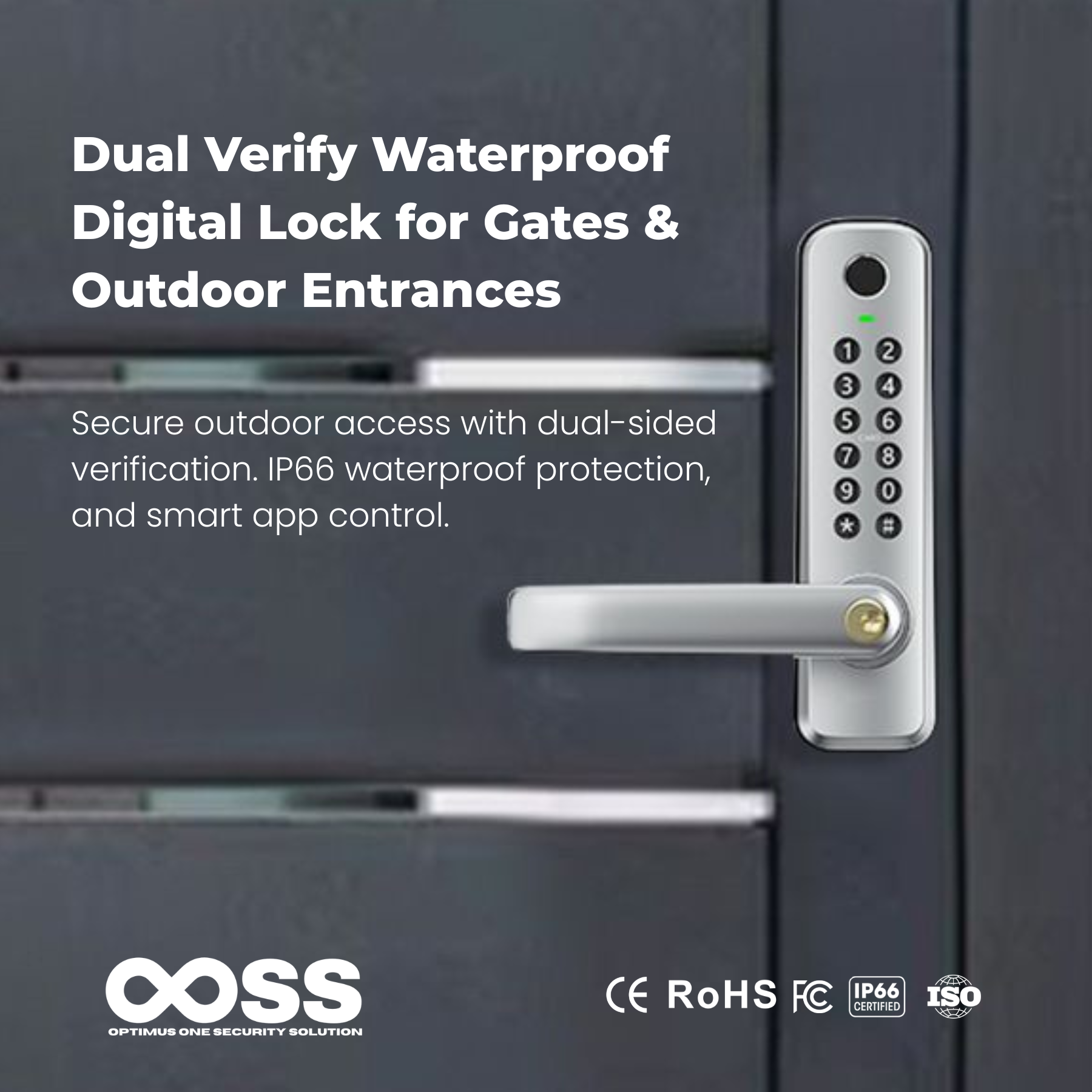 Dual Verify