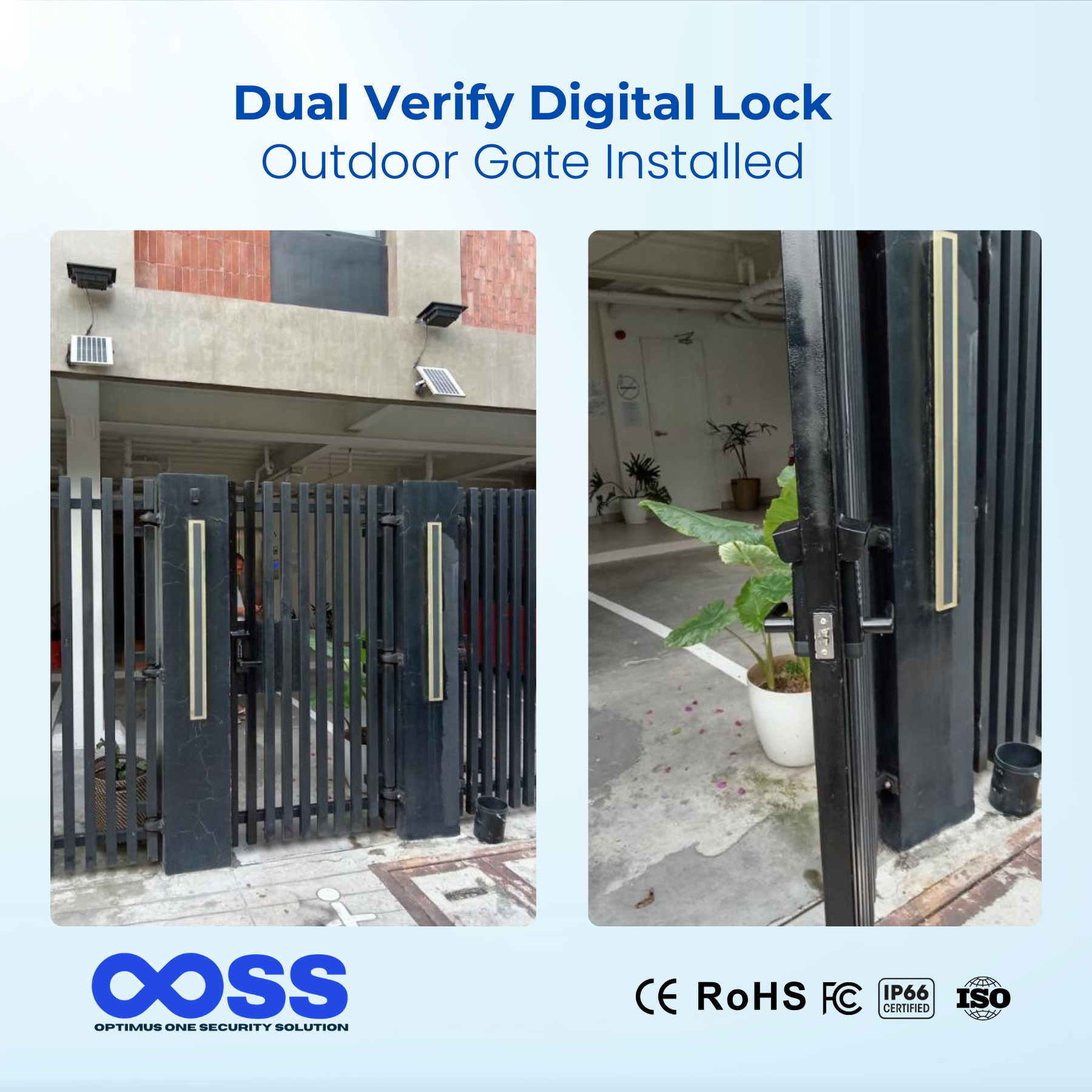 Dual Verify